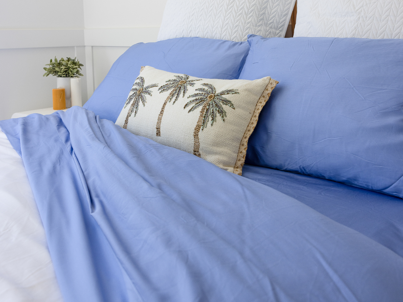 Luxury Pillow Case 2 Pack